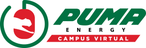 PUMA ENERGY